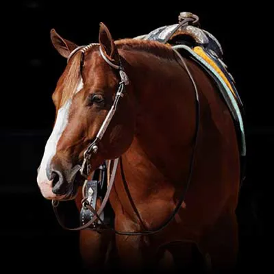 When N Where — profile photo