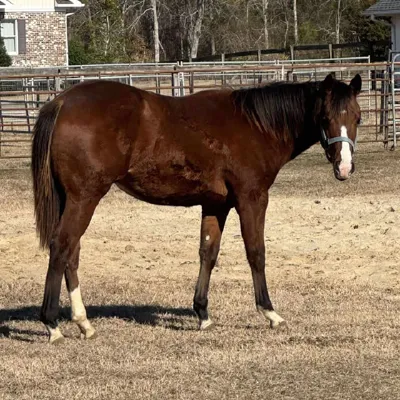 When Sparks Flyy — profile photo