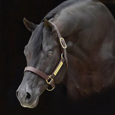 Willy Be Invited — profile photo