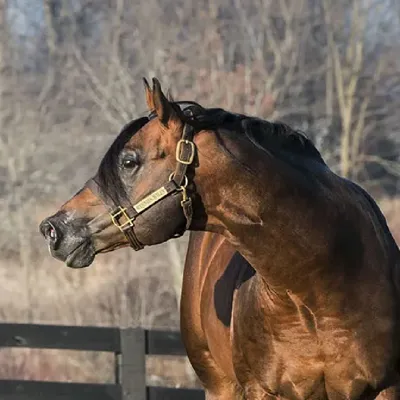 Winnies Willy — profile photo