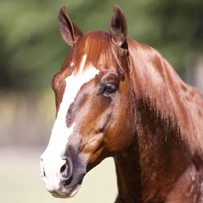 WR This Cats Smart — profile photo