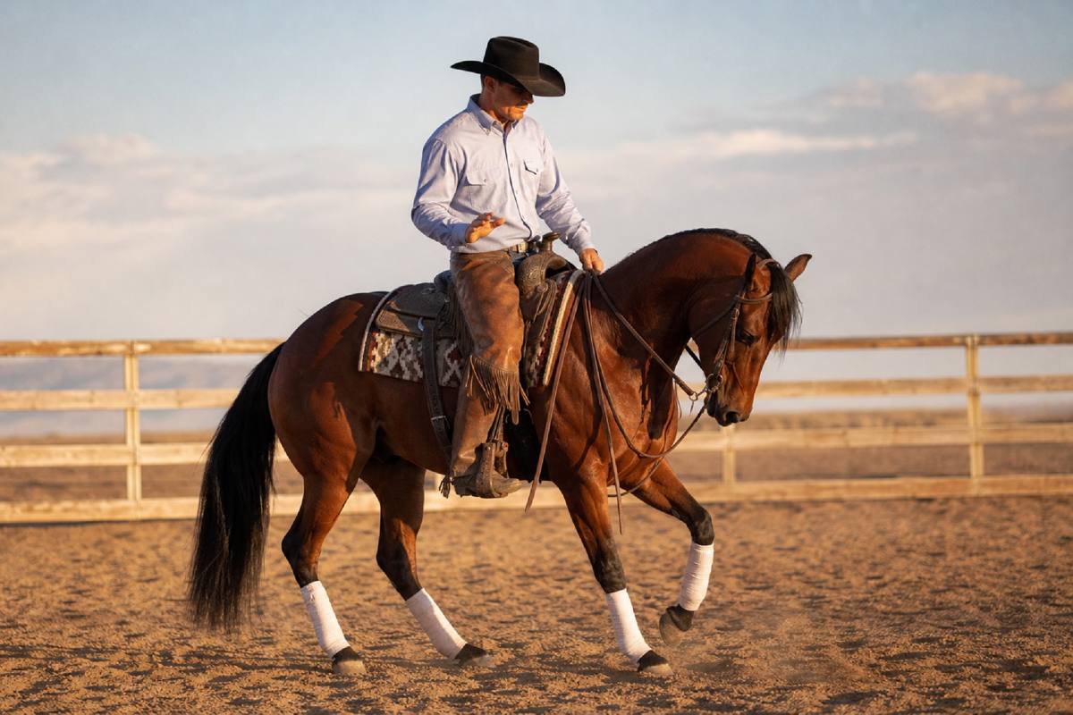 Cover image for Backing Well Under Saddle: Jeremy LaRose on Shoulder Control, Outside Rein, and a Better Backup