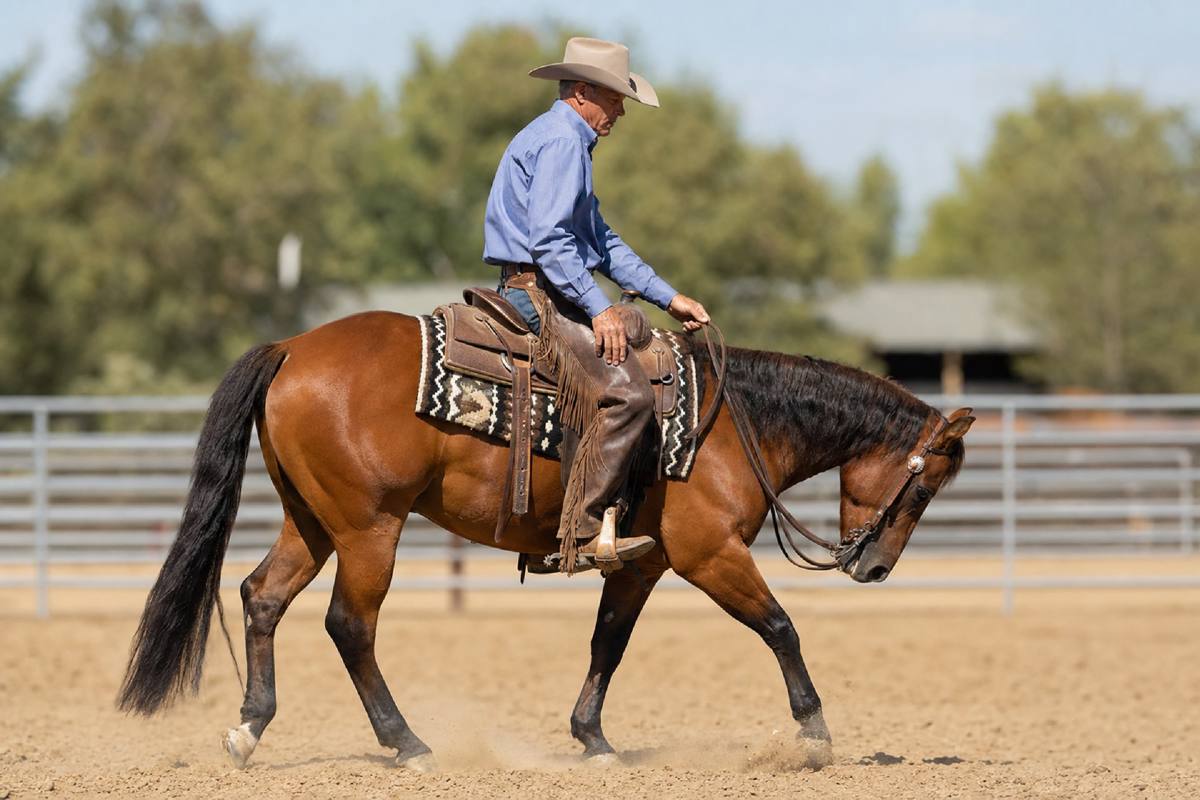 Cover image for Jeremy LaRose on the Importance of Transitions Under Saddle