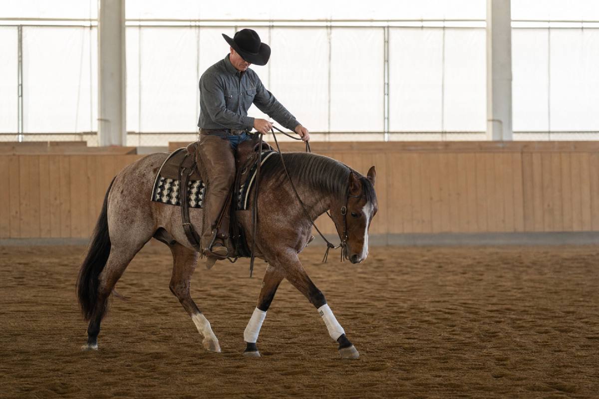 Cover image for Horse Training vs. Horse Enforcing: Jeremy LaRose on Foundation, Feel, and Forward Motion