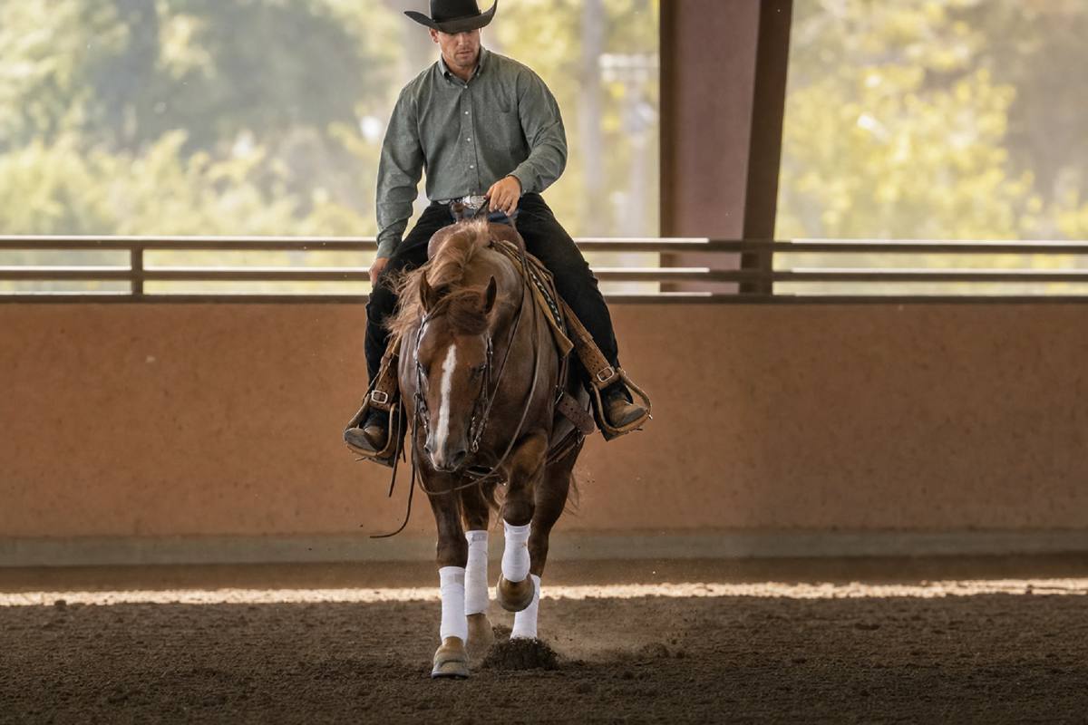 Cover image for Jeremy LaRose on Flying Lead Changes: Weight Transfer, Straightness, and Clean Setup