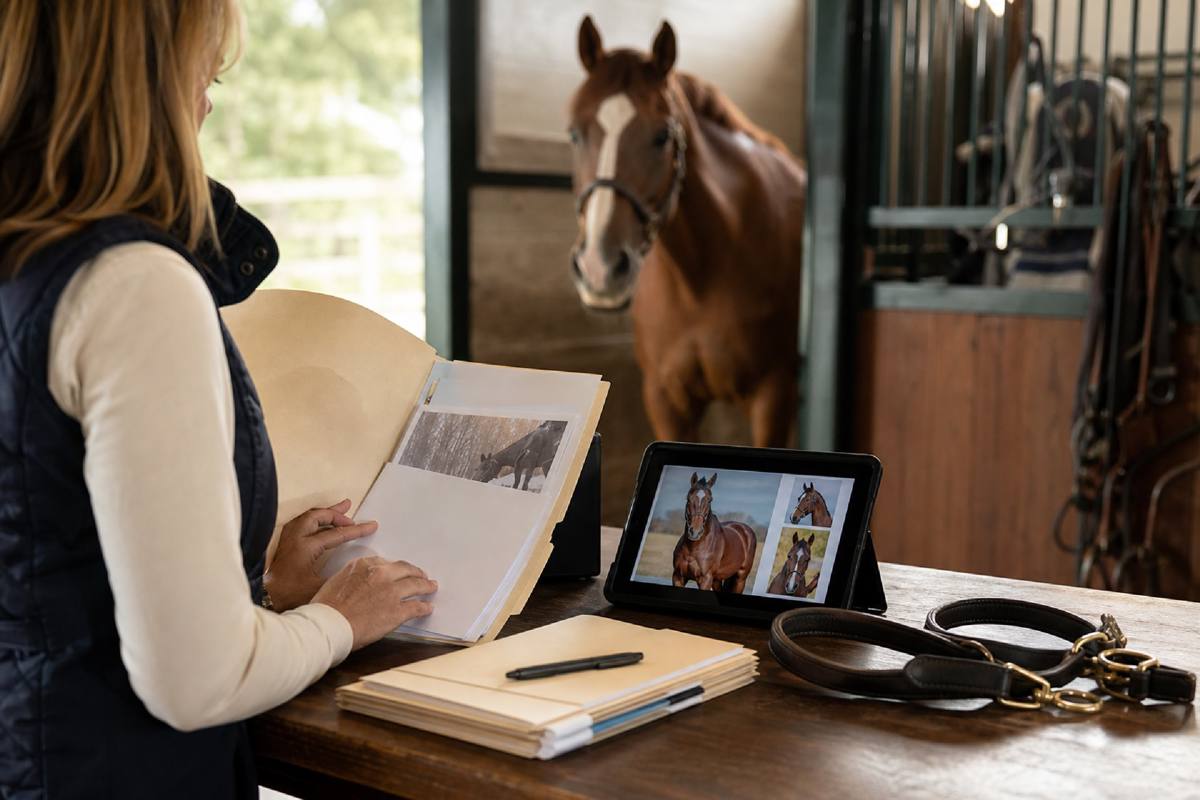 Cover image for Horse Sale Readiness Checklist