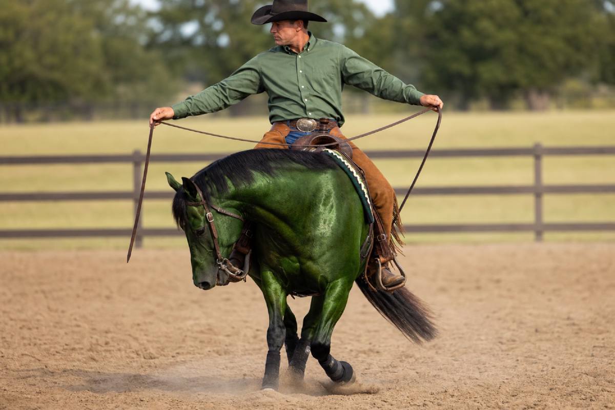Cover image for Jeremy LaRose on the Indirect Turn: Shoulder Control, Yielding, and the Start of a Better Turn