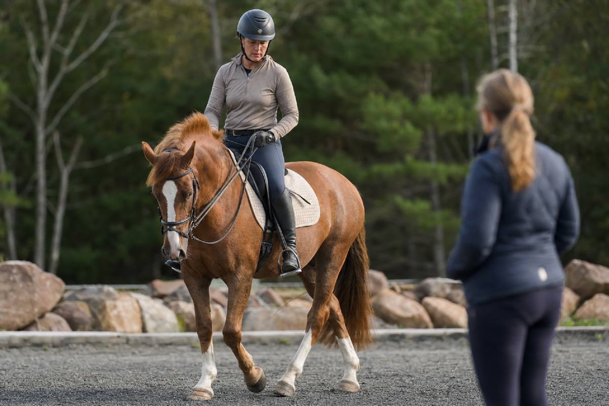 Cover image for Jeremy LaRose: Shoulder Control, Flexibility, and Rhythm for Young Horses