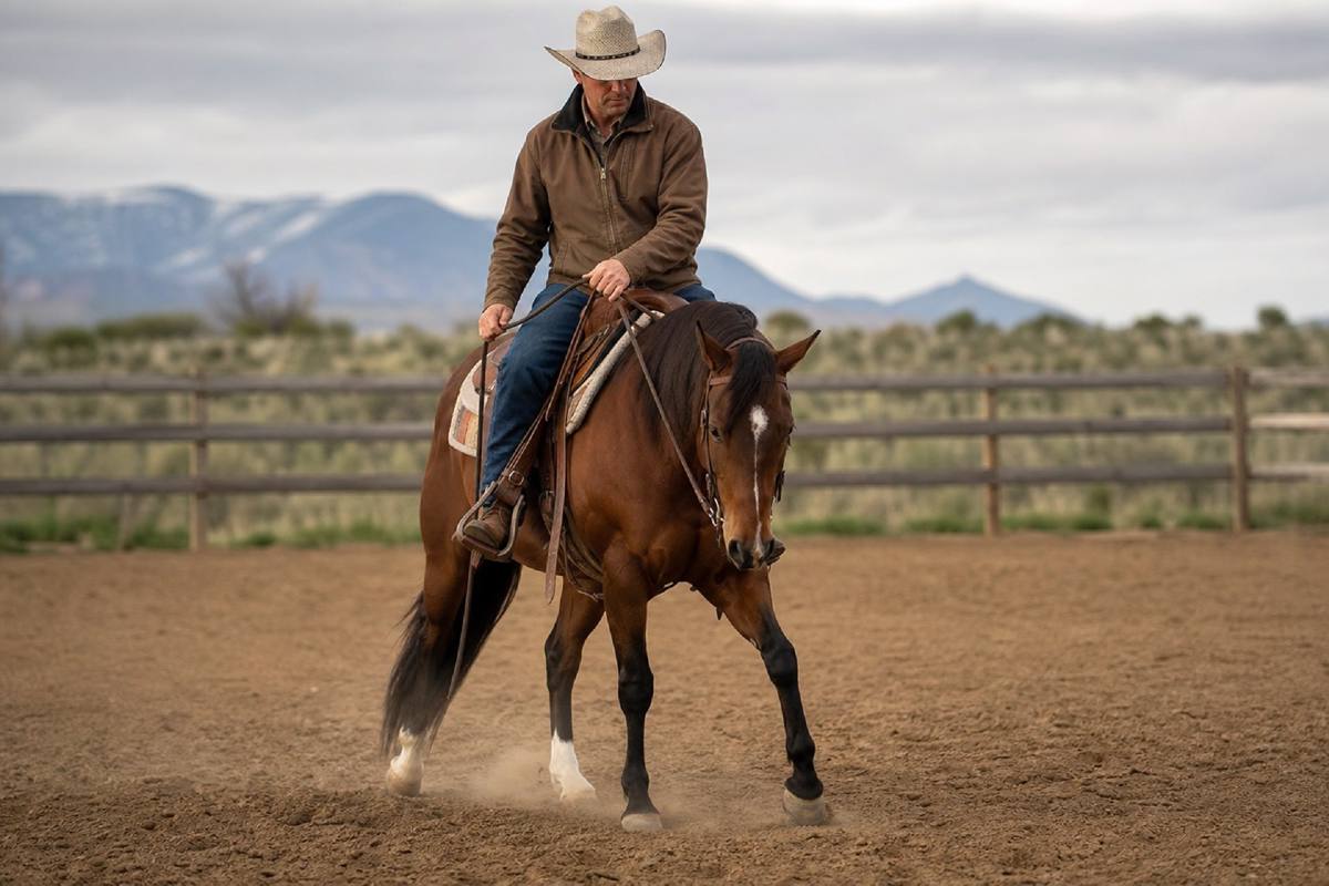 Cover image for Jeremy LaRose: Hip Control Basics for Starting Horses