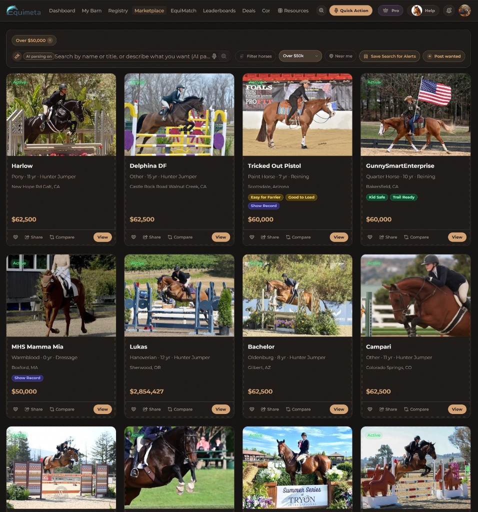 Equimeta marketplace overview showing listing cards, filters, and pricing.